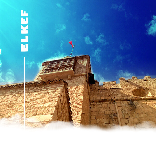 kef-banner